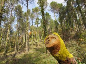 bosque animado ilundain