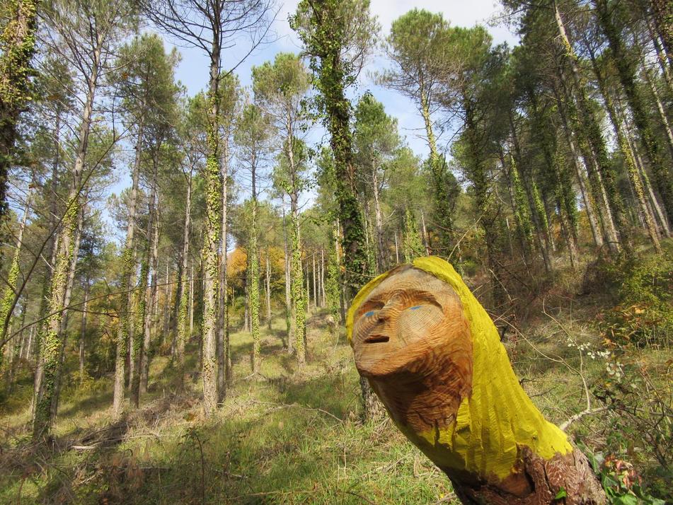 bosque animado ilundain