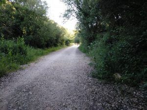 cañón río ubagua