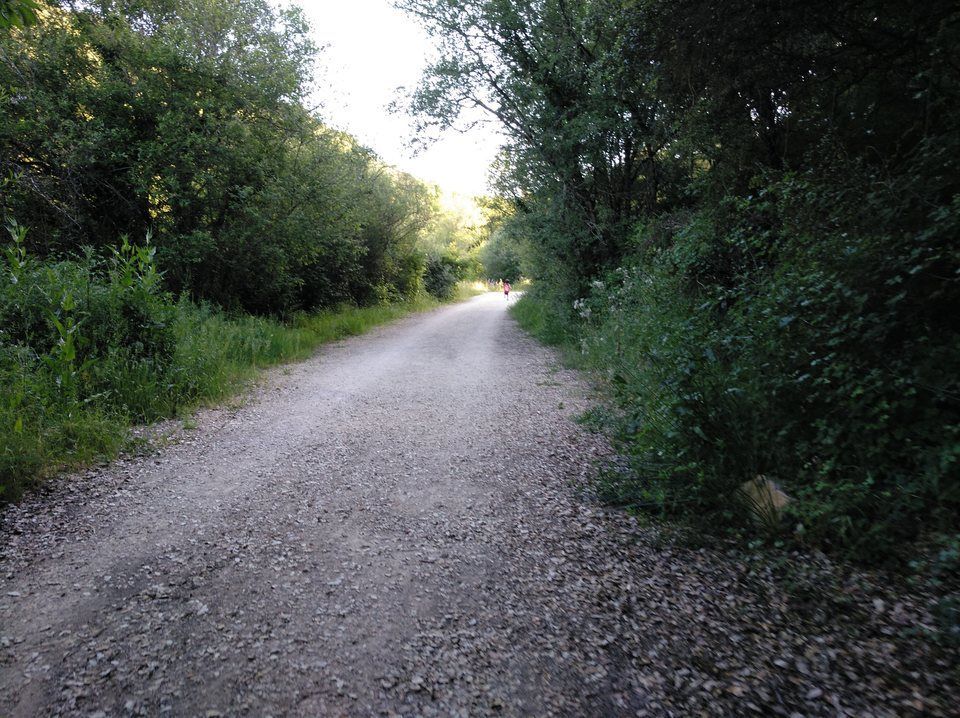 cañón río ubagua