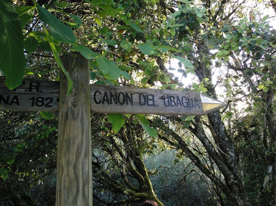 cañón río ubagua