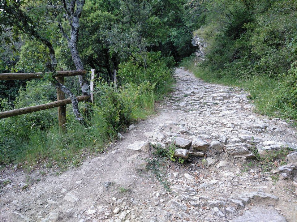 cañón río ubagua