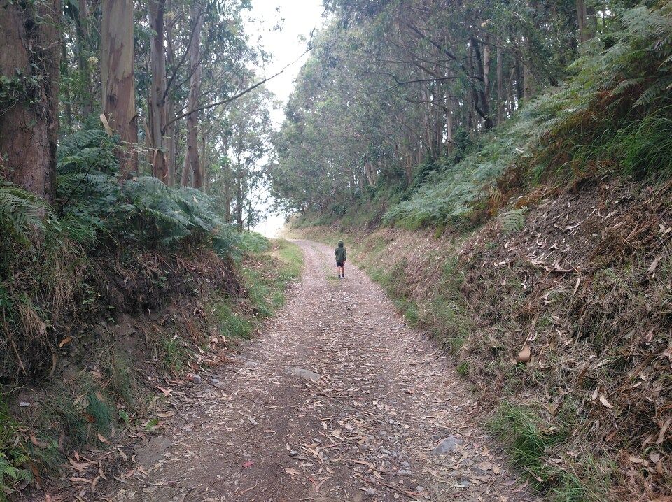 asturias con niños