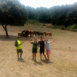 campamentos verano navarra