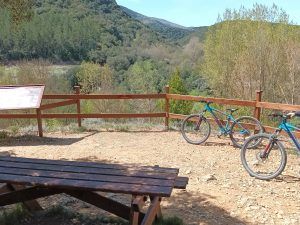 camping Acedo