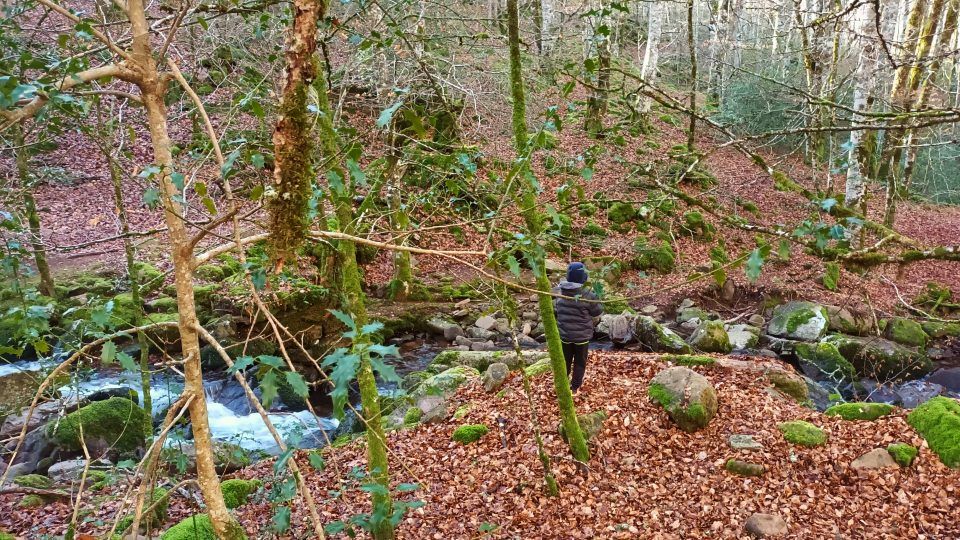 Cascada Irurrekaeta